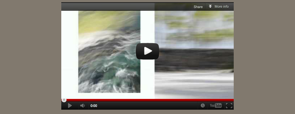 nivo slider image