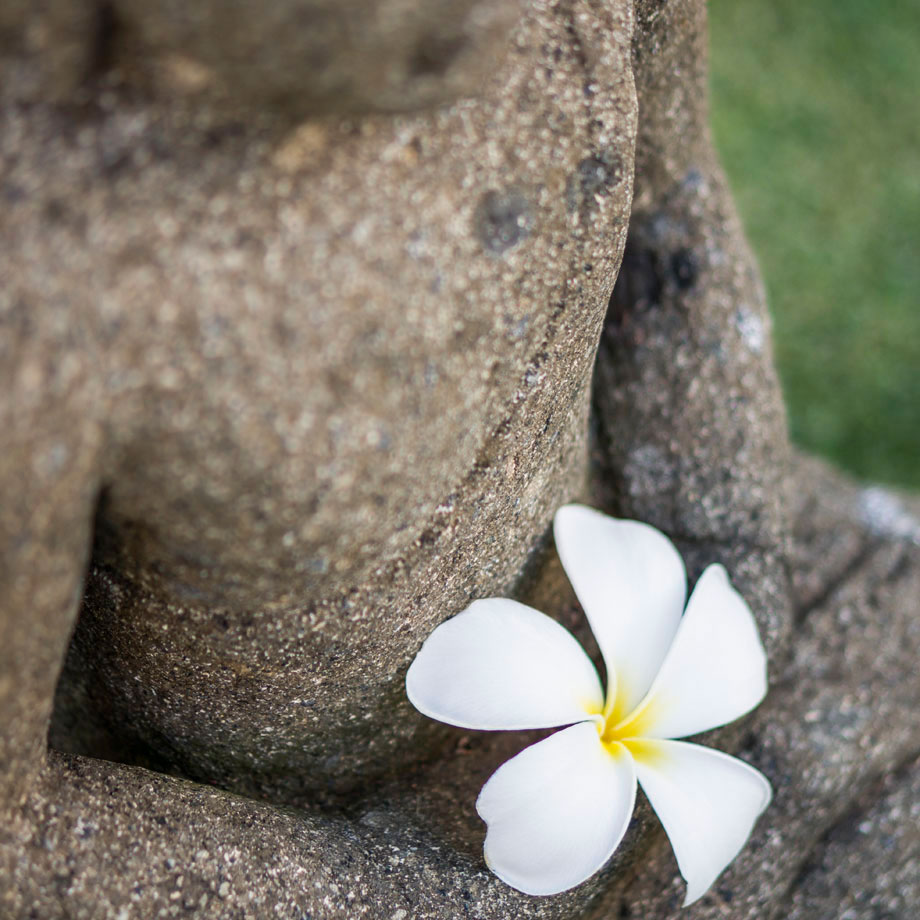Hawaii Interior Photography